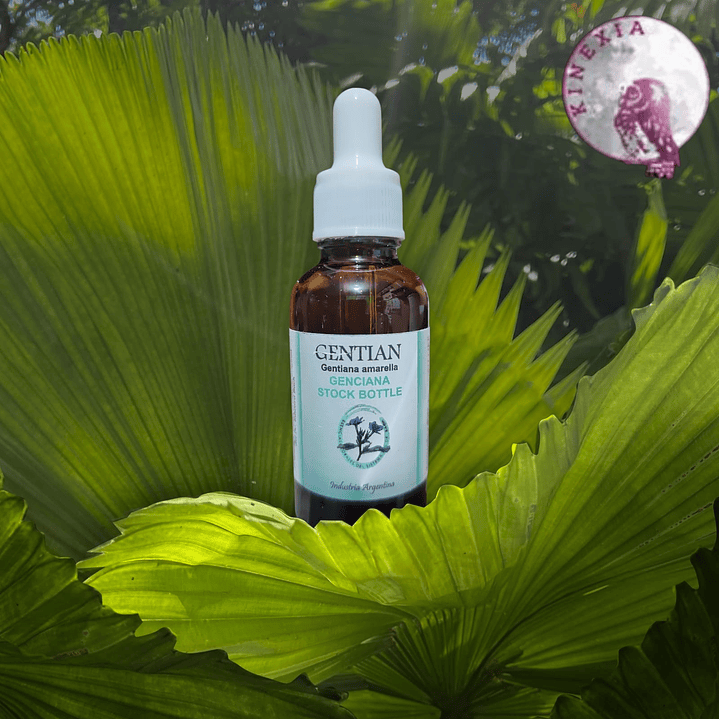 Gentian 30ml 1