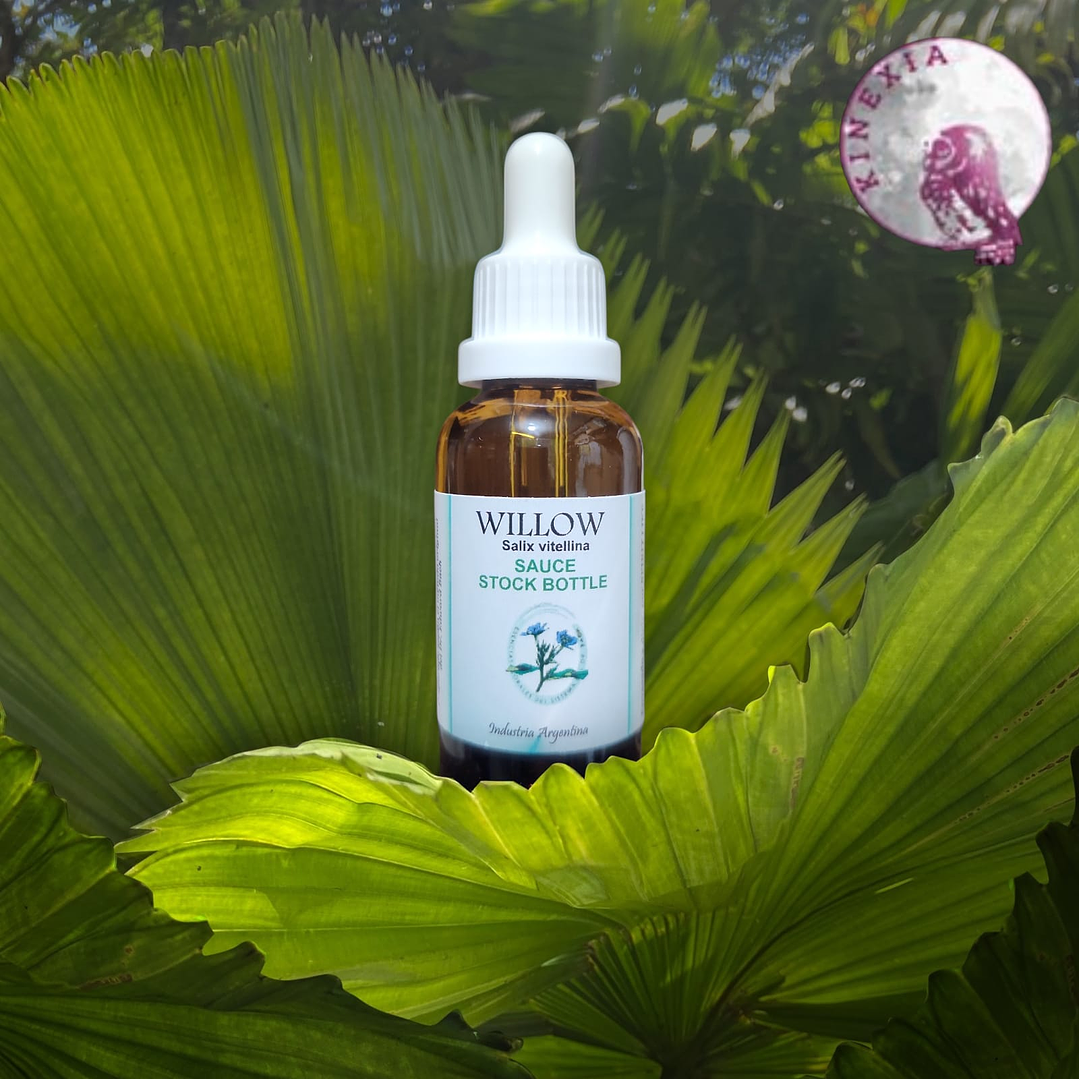 Willow 30ml 1
