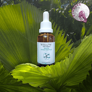Willow 30ml