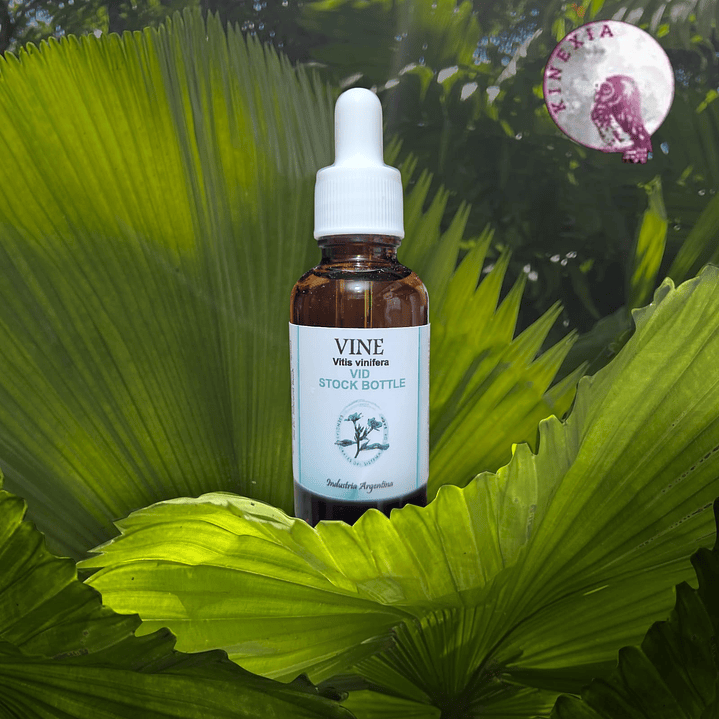 Vine 30ml 1