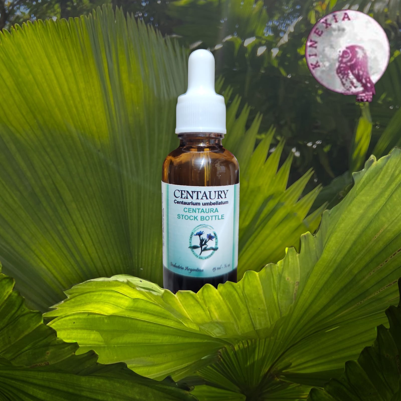 Centaury 30ml