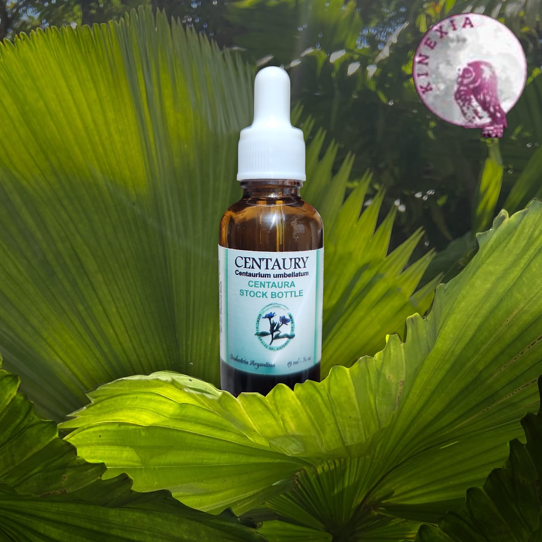 Centaury 30ml 1