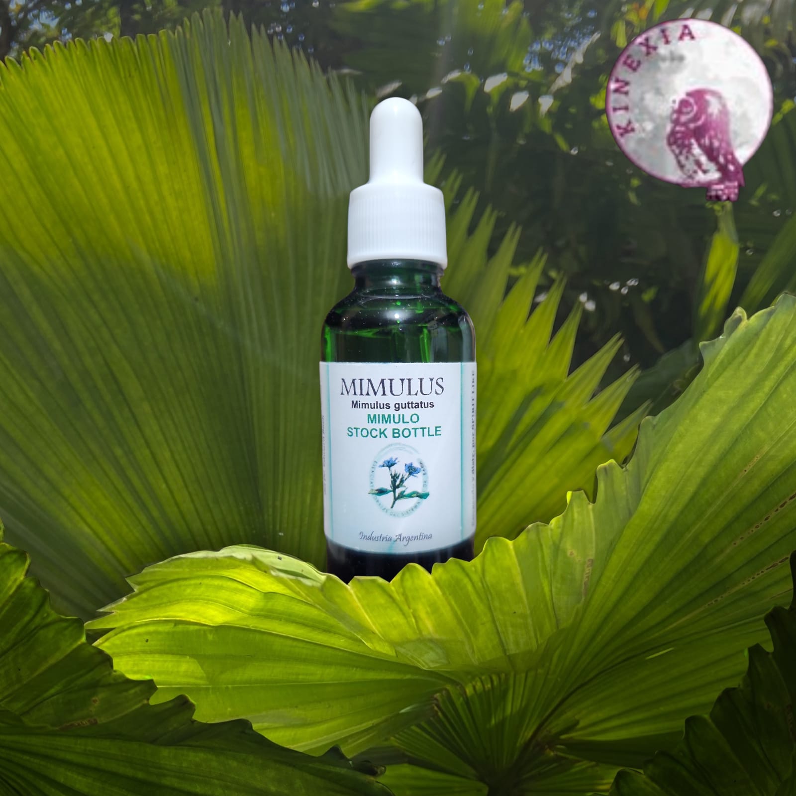 Mimulus 30ml