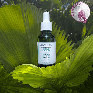 Mimulus 30ml