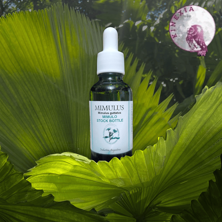 Mimulus 30ml 1