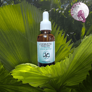 Clematis 30ml