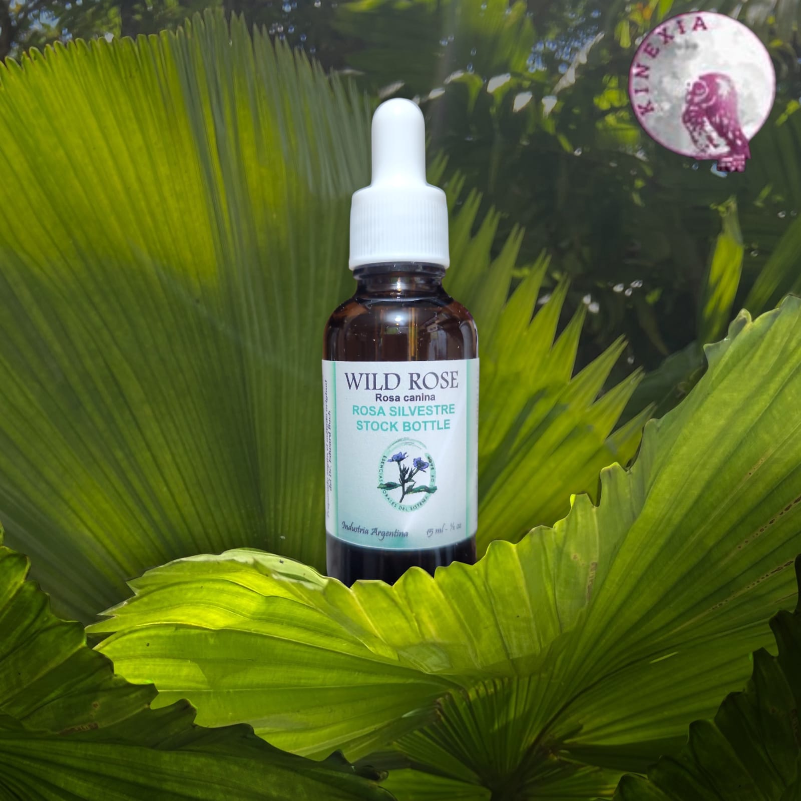 Wild Rose 30ml