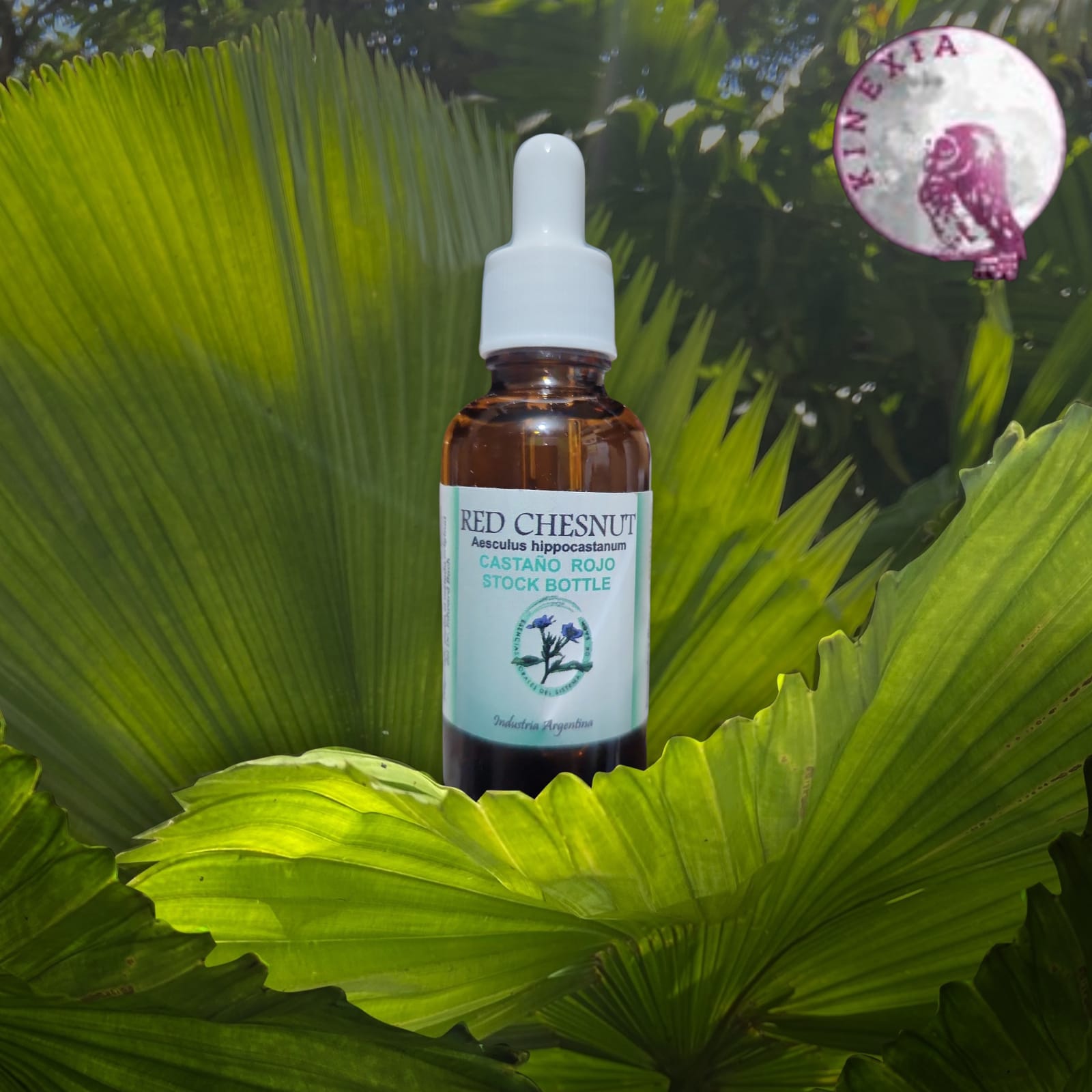 Red Chestnut 30ml
