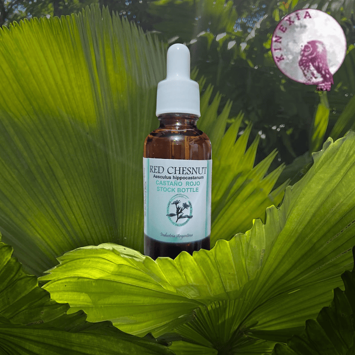 Red Chestnut 30ml 1
