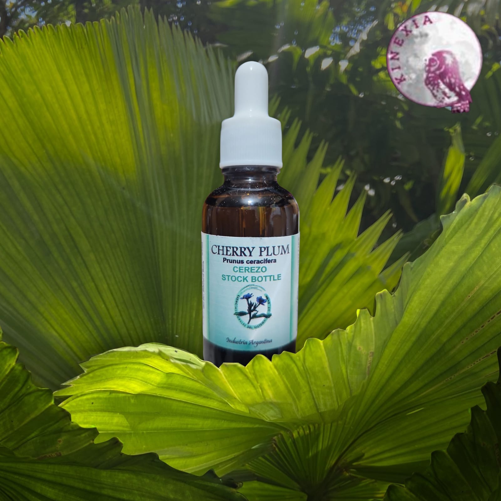 Cherry Plum 30ml