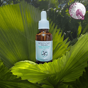 Wild Oat 30ml