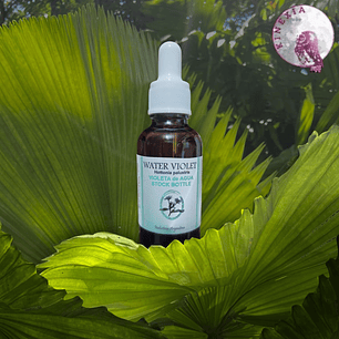 Water Violet 30ml