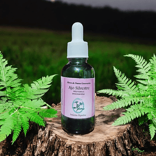 Ajo Silvestre 30ml ( Garlic )