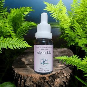 Alpine Lily 30ml
