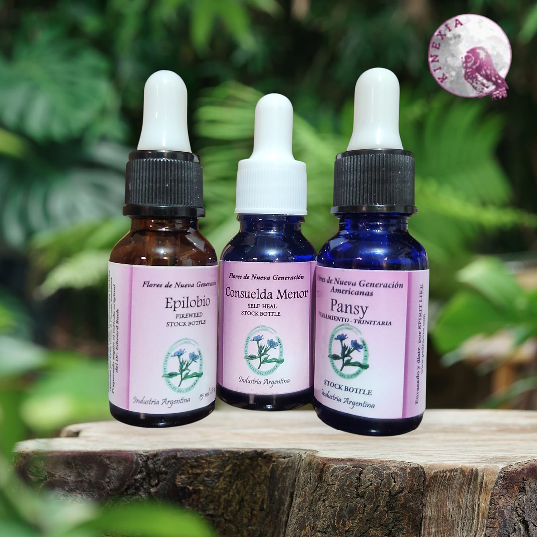 Invernus (Fortaleza) 1