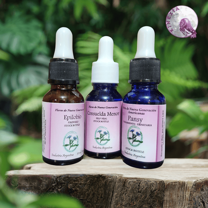 Invernus (Fortaleza) 1