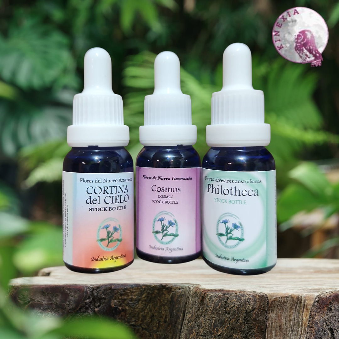 Frosty  (Autoconfianza )   1