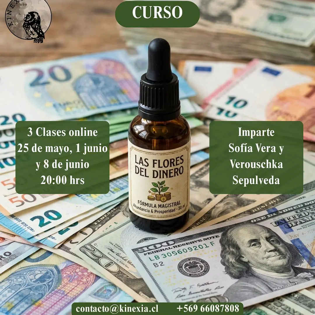 Flores y Dinero 2