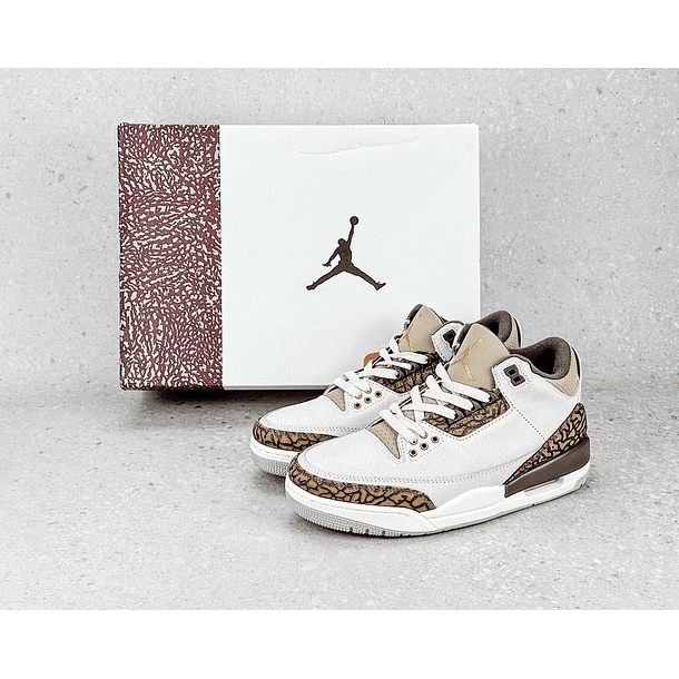  Nike Air Jordan 3 Retro 
