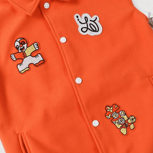 Varsity Jacket louis vuitton Blouson 5