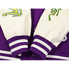 Varsity Jacket louis vuitton morada 3