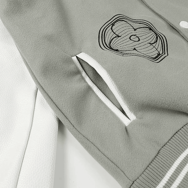 Varsity Jacket louis vuitton gris Studios 3