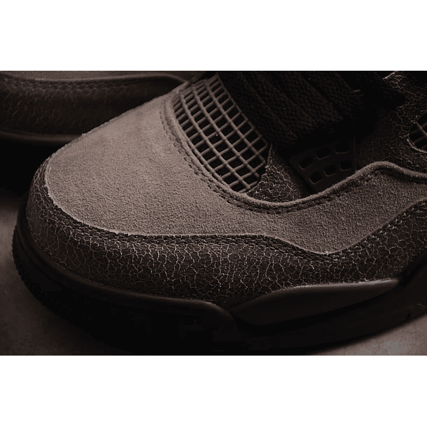 Jordan retro 4 Taupe Haze 6