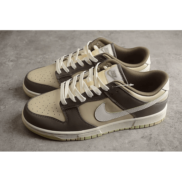Dunk low velcro tongue 5