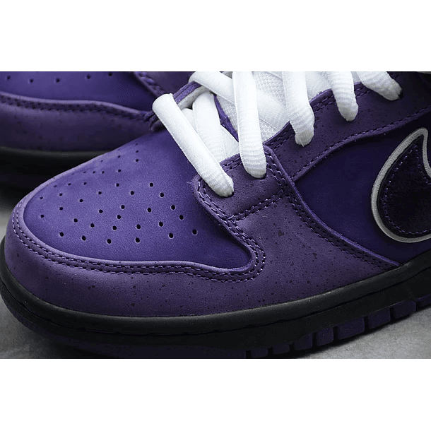 Dunk low sb x concepts purple lobster 6