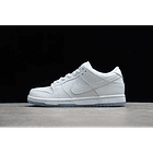 Dunk low SB white ice 1