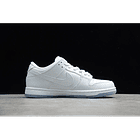 Dunk low SB white ice 2