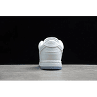 Dunk low SB white ice 4