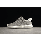 Yeezy boost 350 v2 turtle dove 1