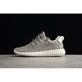 Yeezy boost 350 v2 turtle dove