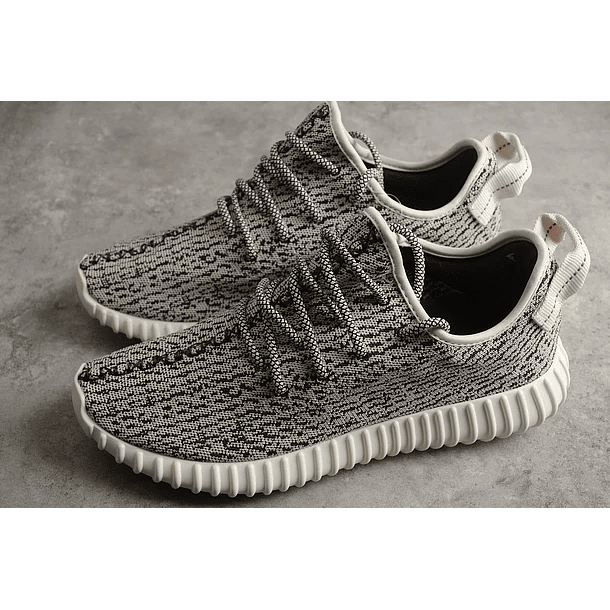 Yeezy boost 350 v2 turtle dove 5