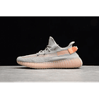 Yeezy boost 350 v2 true form 1