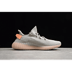 Yeezy boost 350 v2 true form 2