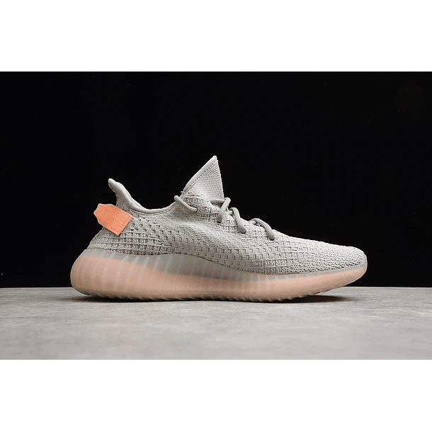 Yeezy boost 350 v2 true form 2