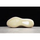 Yeezy boost 350 v2 true form 3