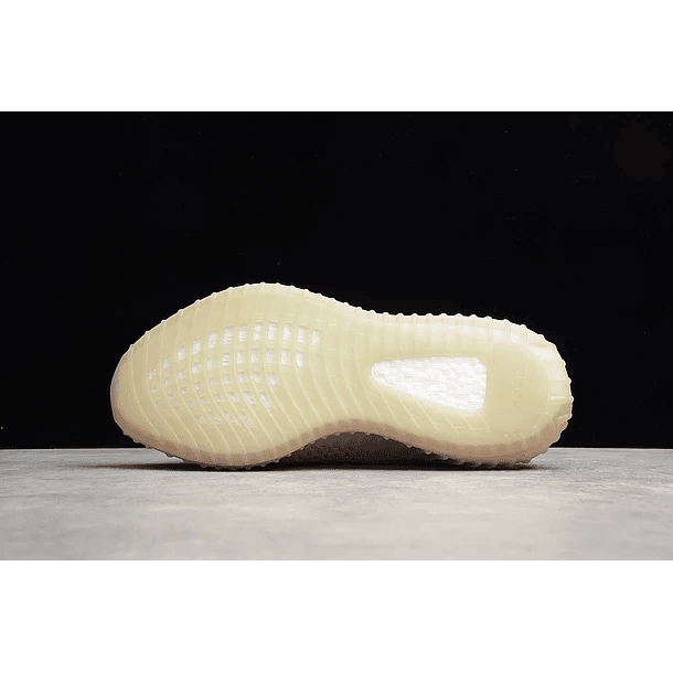 Yeezy boost 350 v2 true form 3