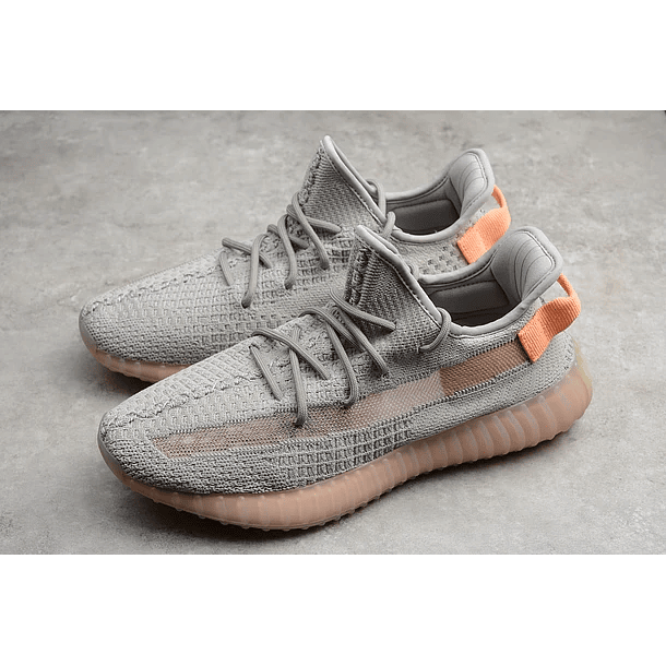 Yeezy boost 350 v2 true form 5