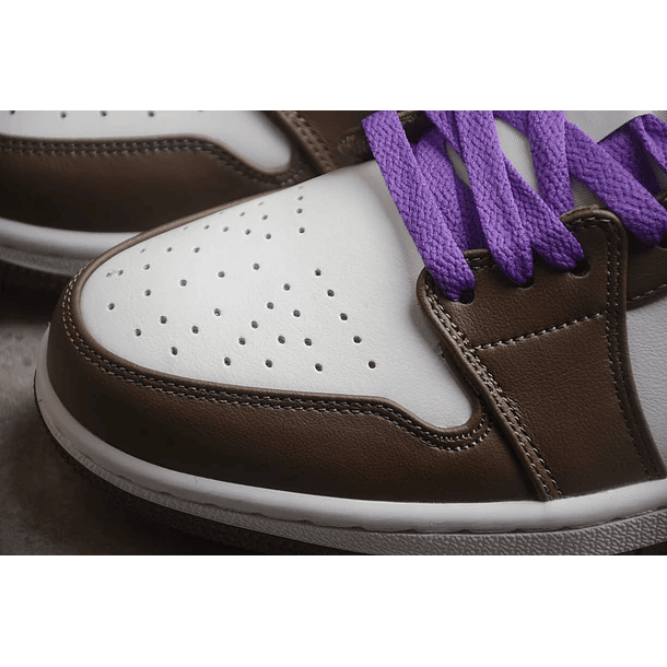 Jordan 1 low palomino 6