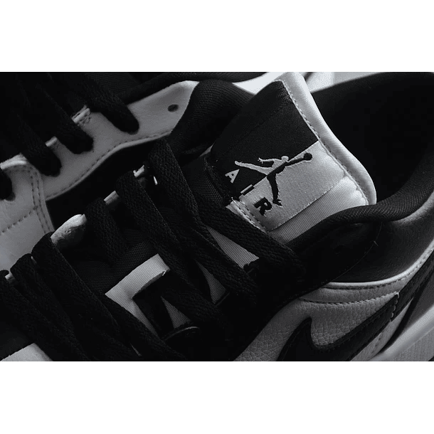 Jordan 1 low homage 5