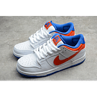 Dunk low SB pro white royal blue orange 5