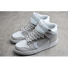 Dunk high silver 5
