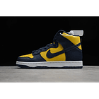 Dunk high michigan 1
