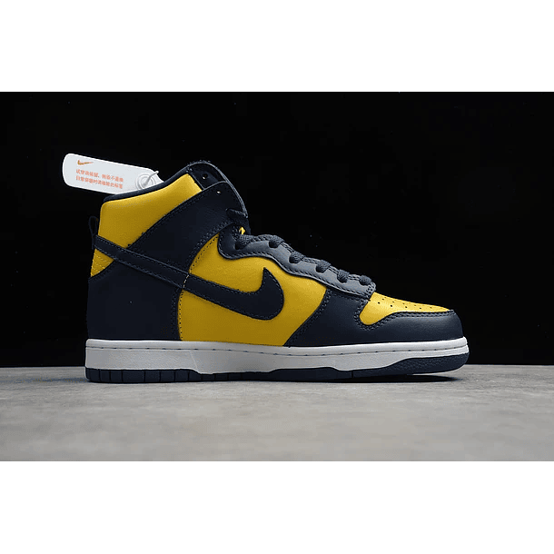 Dunk high michigan 2