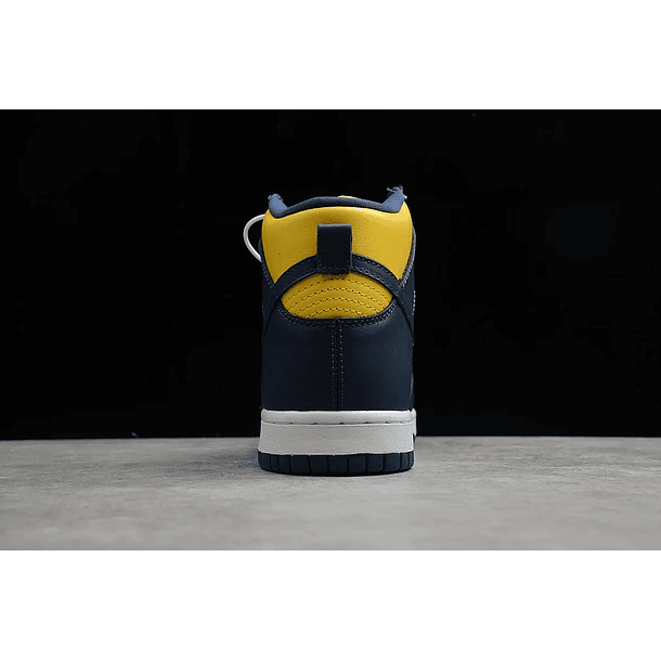 Dunk high michigan 4