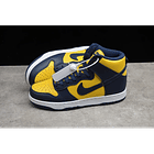 Dunk high michigan 5