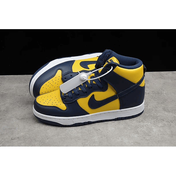 Dunk high michigan 5